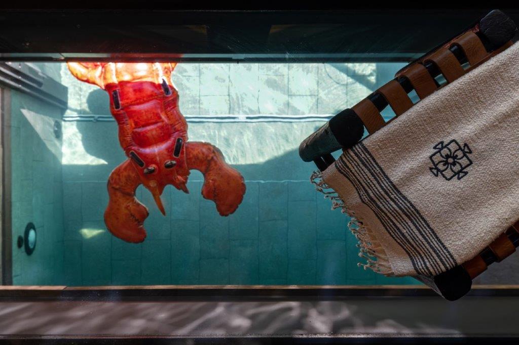 Aperçu de la piscine intérieure